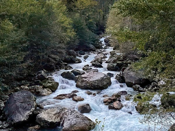 Из Гагры на озеро Рица: туда, где горы отражаются в воде - фото 4