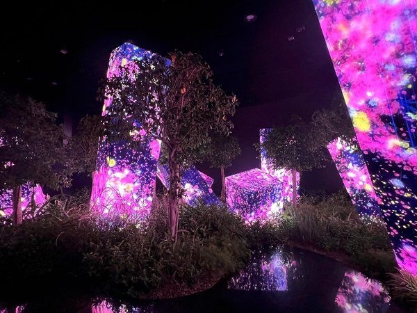 Билеты в teamLab Phenomena в Абу-Даби