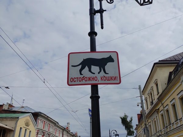 Нижегородские мурлыки