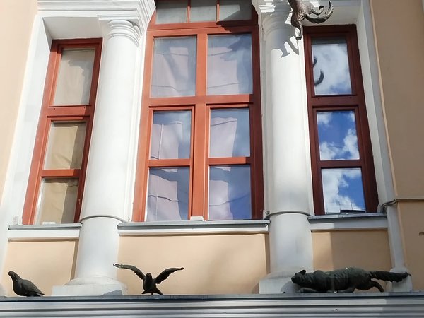Нижегородские мурлыки - фото 3