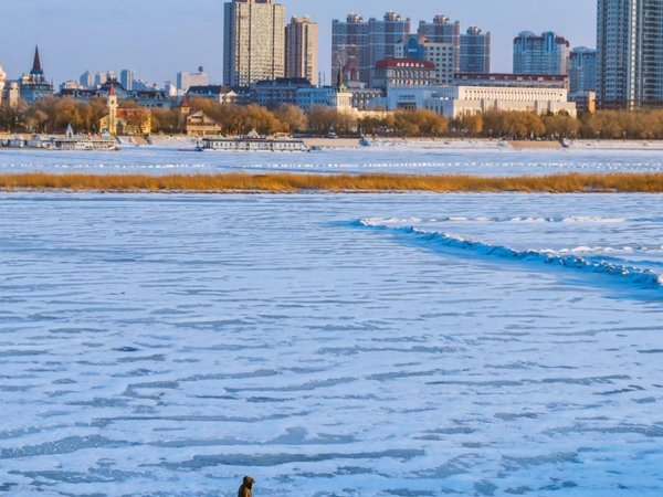 Билет на канатную дорогу в Харбине - фото 3