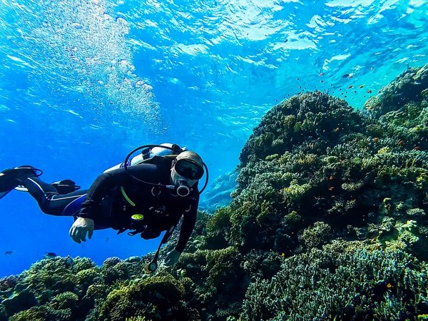 По Красному морю — на дайверской яхте - фото 1