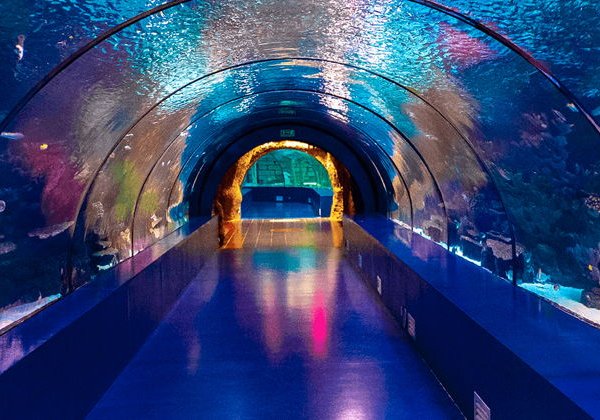 Океанариум Анталии: нырни в подводный мир  - фото 1
