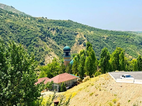 Из Ташкента — в Институт Солнца, мечеть Хазрат Али Бува и на Узумферму - фото 4
