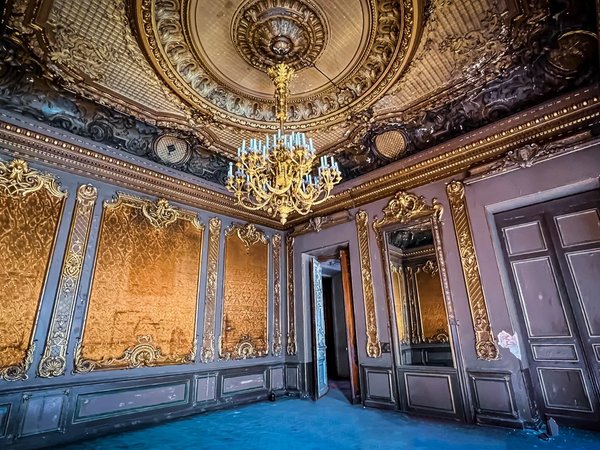Экскурсия в закрытый особняк Брусницыных - фото 3