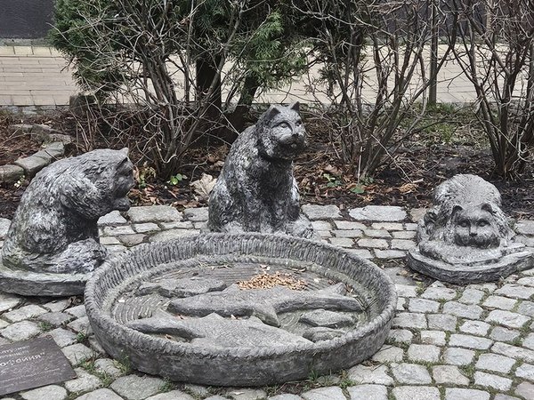 Зеленоградск, сыроварня, средневековый замок Шаакен, пивоварня Нессельбек (из Светлогорска) - фото 4