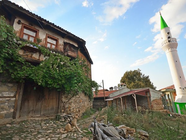 Из Стамбула в Ойлат: горы, пещеры и термальные источники - фото 3