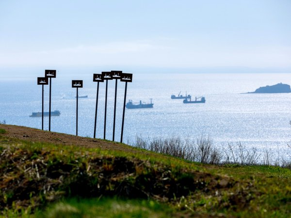 Остров Русский и мореферма: устрицы, мидии и форты за 1 день - фото 1