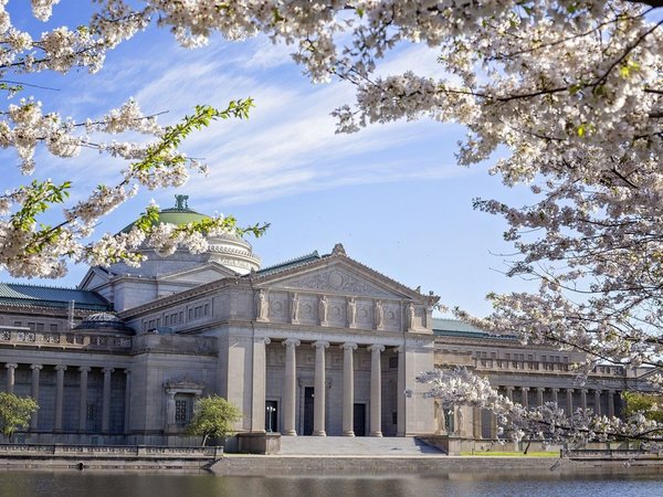 Музей науки и промышленности в Чикаго: билет и аудиоэкскурсия - фото 3