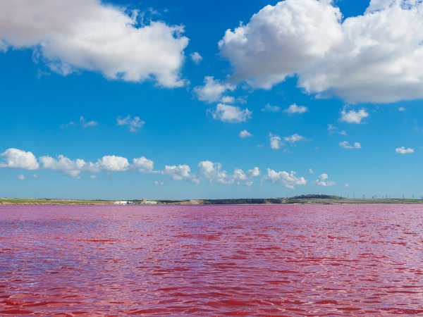 Цветные чудеса Азербайджана и дегустация чёрной икры