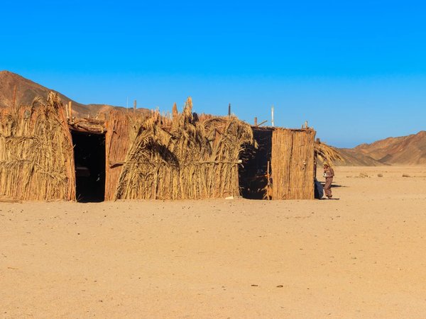 Пустынное сафари на верблюдах и квадроциклах - фото 4