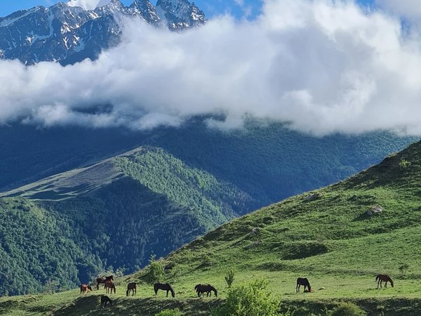 Авторское путешествие на джипе «Наедине с горами Осетии» - фото 3