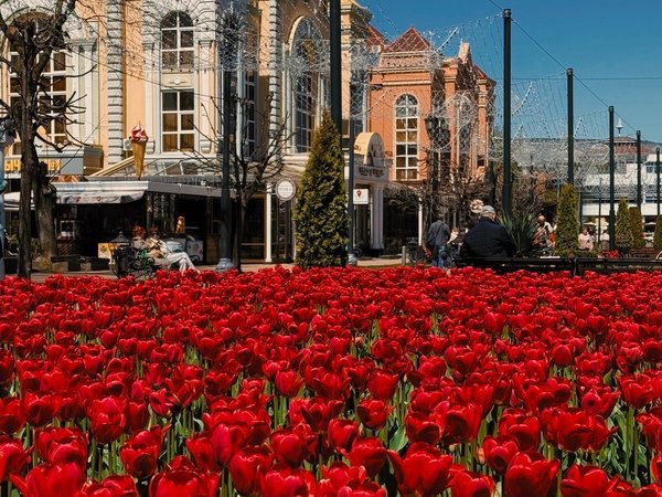 Добро пожаловать в Кисловодск! - фото 3
