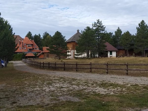 Национальный парк Тара — сокровище Западной Сербии - фото 4