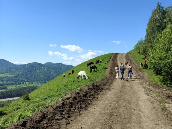 Треккинг по хребту над долиной Катуни (из Манжерока) - фото 2