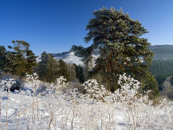 Прогулка к скалам Четыре Брата - фото 3
