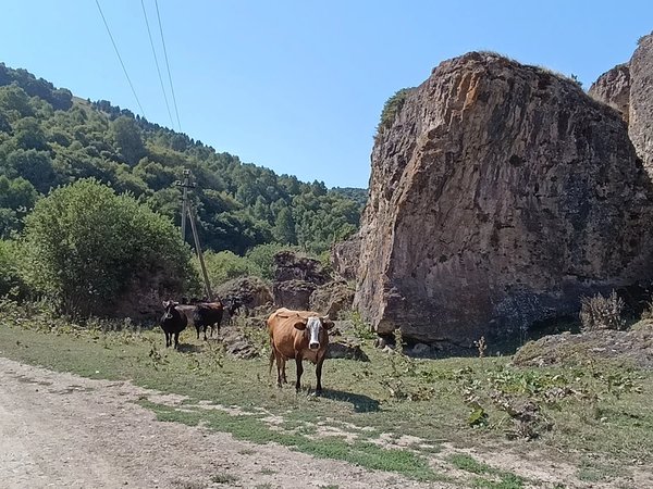 Высокогорное село Кичи-Балык, перевал «Восьмёрка» и аул Схауат - фото 2
