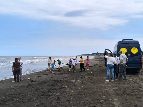 Джунгли Дагестана: групповая экскурсия в Самурский лиановый лес - фото 3
