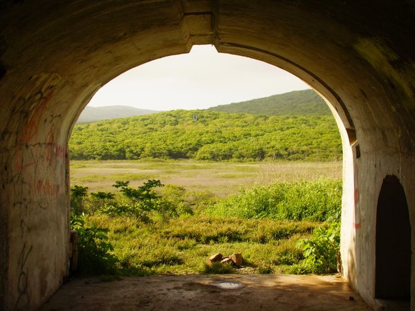 По фортам острова Русский - фото 4