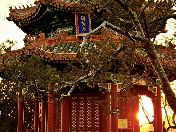 Пекин императорский: Запретный город, парк Бэйхай и чайная церемония - фото 2