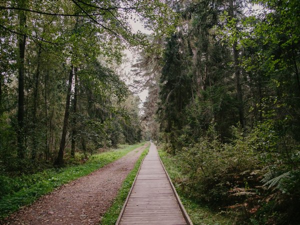 Рано утром — на Куршскую косу - фото 3