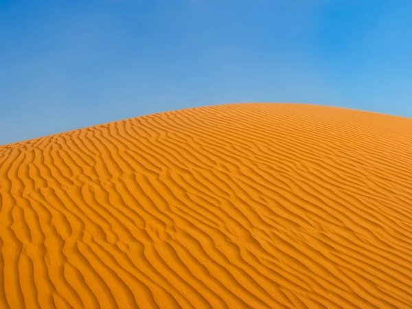 Сафари на багги по дубайской пустыне - фото 3