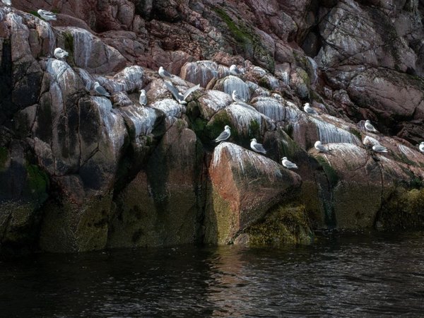 Морская прогулка в Териберке на катере - фото 2
