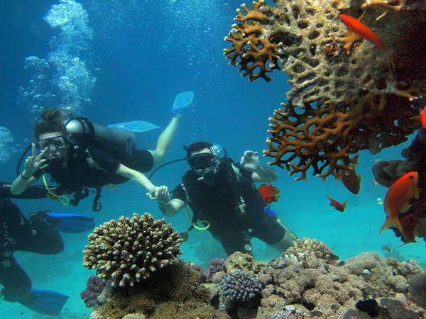 Дайвинг в Кемере из Антальи: бухты, рифы и обитатели моря - фото 1