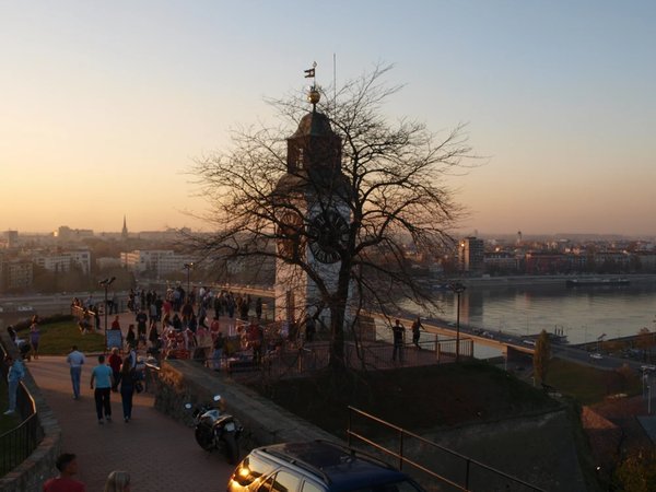 Из Белграда — к жемчужинам северной Сербии - фото 4