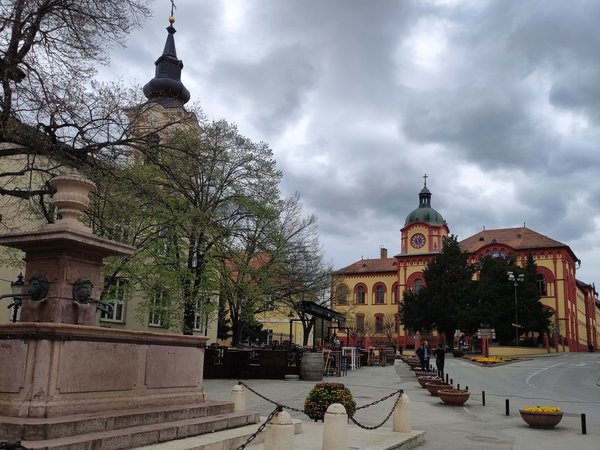 Из Белграда — к жемчужинам северной Сербии - фото 3