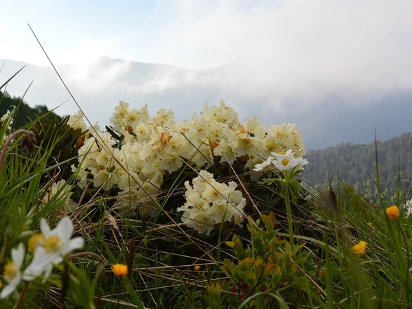Из Пятигорска — в высокогорный поселок Архыз - фото 1