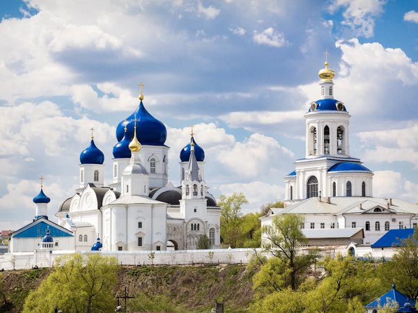 Два в одном: Владимир и Боголюбово - фото 4