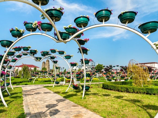Из Кисловодска — в три города Чеченской Республики! - фото 2