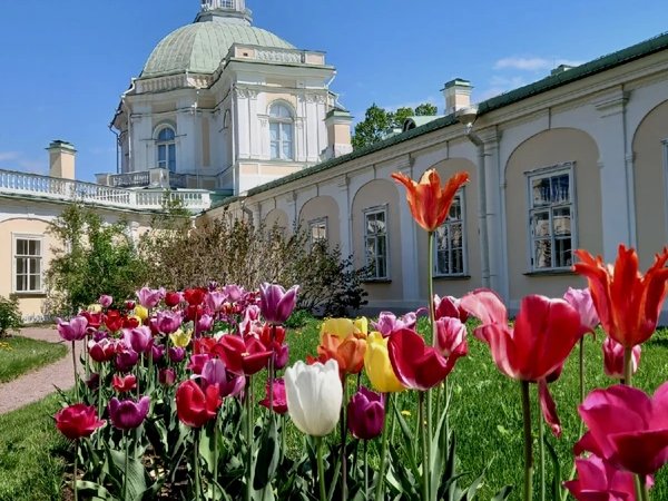 Ораниенбаум: грандиозно и роскошно