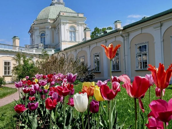 Ораниенбаум: грандиозно и роскошно - фото 1