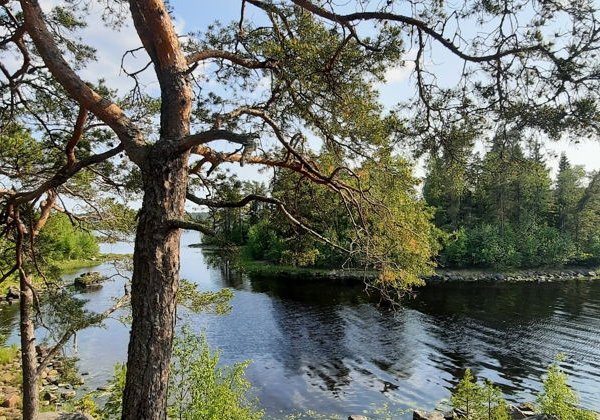 Лучшие места Карелии за два дня - фото 3