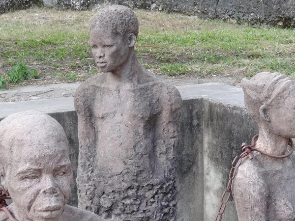 Путешествие по Занзибару: лес Джозани и Каменный город - фото 4