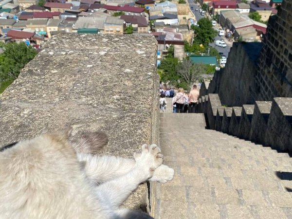 Из Каспийска в Дербент и к экраноплану «Лунь» - фото 4