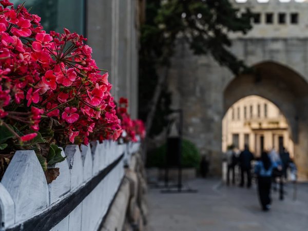 Главное в Баку: от Малой Венеции к мечети Биби-Эйбат - фото 4