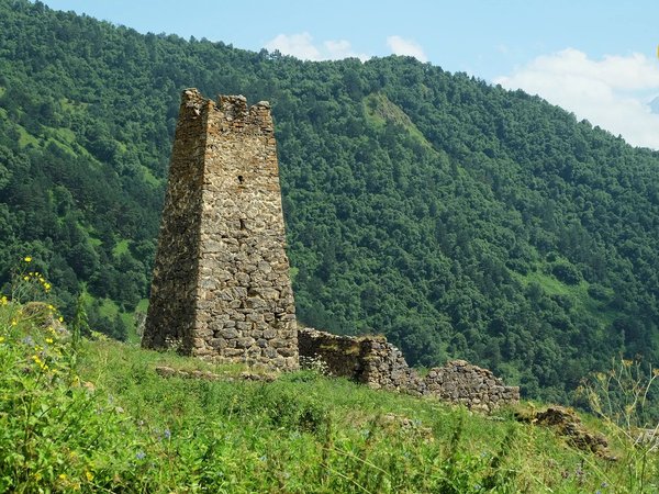 Групповая экскурсия к сердцу Цейского ущелья - фото 2