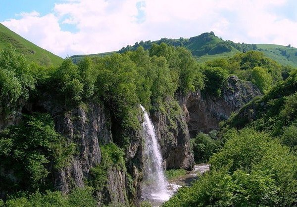 Альпака-парк и Медовые водопады: уютная поездка на полдня - фото 1