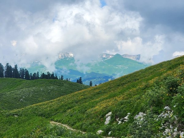 Гора Мамдзышха: 2000 метров восторга над уровнем моря (из Гагры) - фото 3
