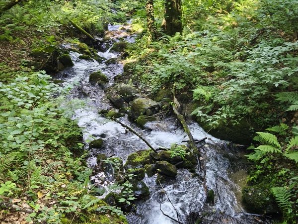 Чудеса горного Сочи: источник Мацесты, водопады и чайные плантации (из Адлера) - фото 3