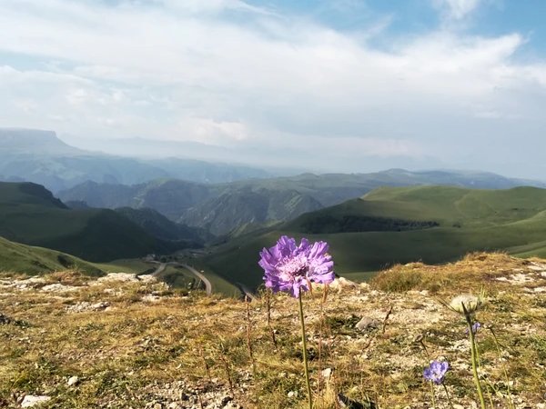 Джилы-Су за 1 день: незабываемое путешествие на джипах