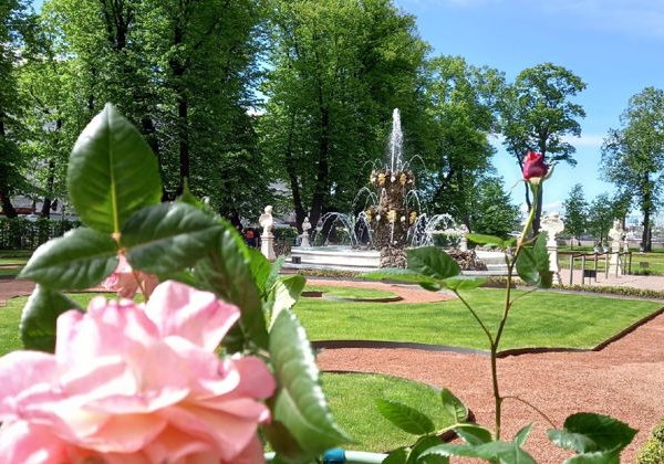 Два знаменитых парка Петергофа за один день на автомобиле - фото 4