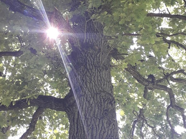 Прогулка по волшебным улицам Калуги «Исполнение желаний» - фото 2