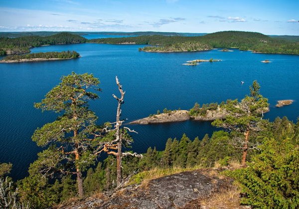 Карелия в миниатюре: водопад Кивач и Марциальные воды - фото 4
