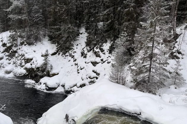 Фото экскурсии - Карельские красоты в миниатюре: водопад Кивач и Марциальные воды - 14