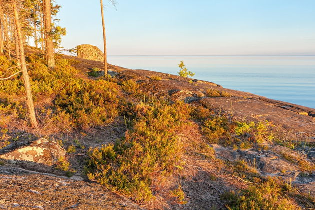 Фото экскурсии - Карельские красоты в миниатюре: водопад Кивач и Марциальные воды - 15