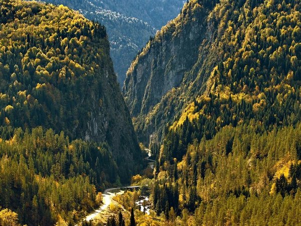 Групповая экскурсия «Абхазия от А до Я» - фото 3